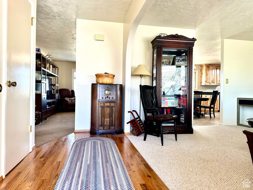 Foyer entrance with a textured ceiling and carpet floors