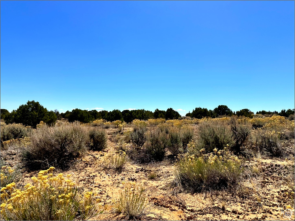  Roosevelt, UT 84066