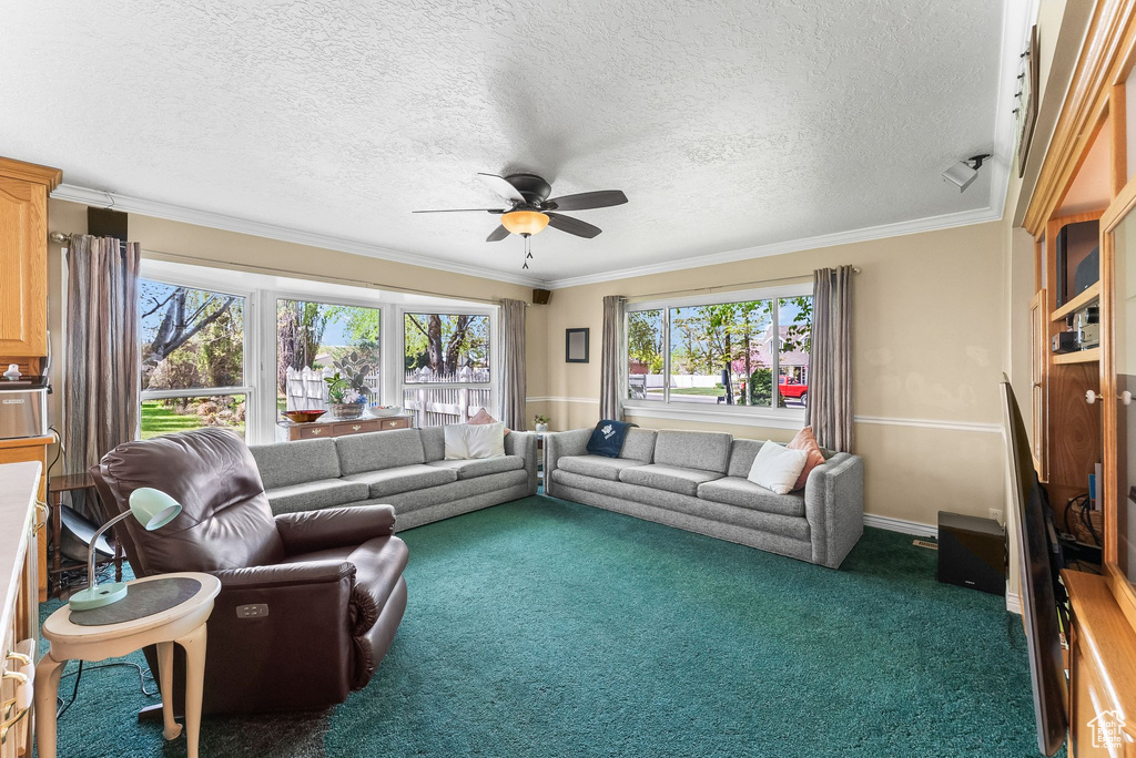 Carpeted living room with ornamental molding, ceiling fan, and a textured ceiling