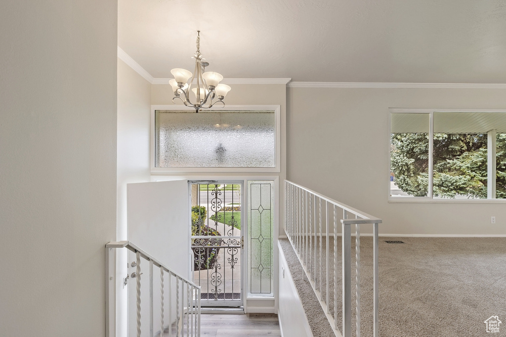 Staircase with carpet floors, crown molding, and an inviting chandelier