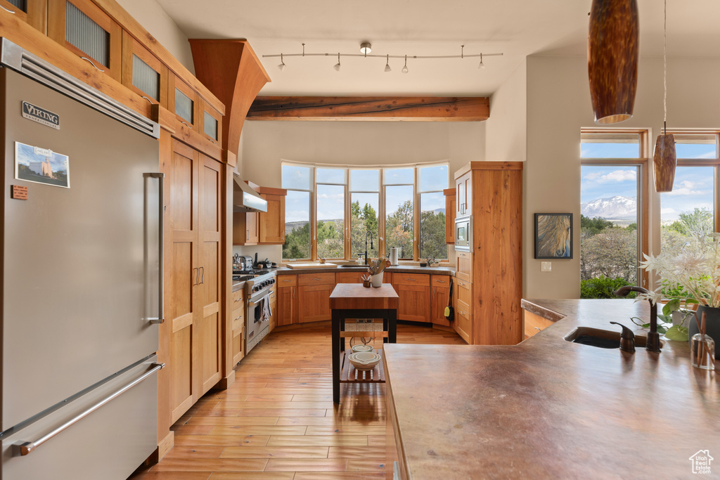 Kitchen with light hardwood / wood-style floors, a healthy amount of sunlight, rail lighting, and built in appliances