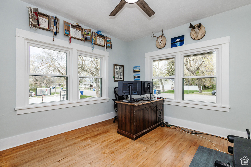 Home office with plenty of natural light, light hardwood / wood-style flooring, and ceiling fan