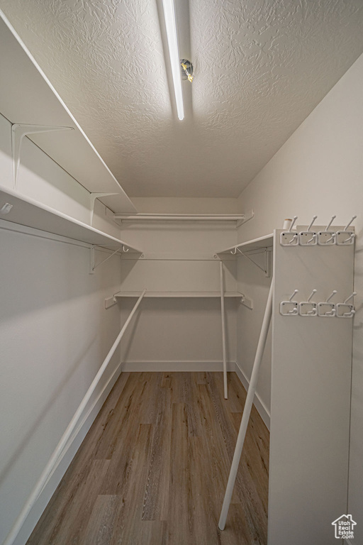 Spacious closet featuring hardwood / wood-style floors