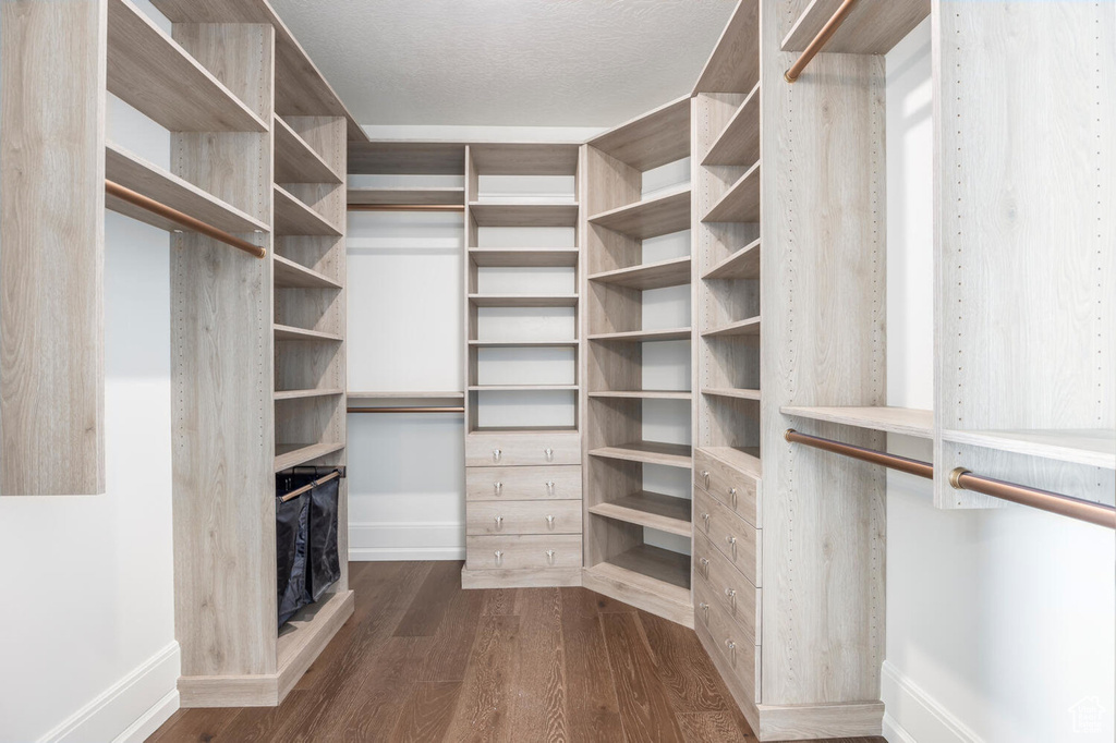 Walk in closet with dark hardwood / wood-style flooring