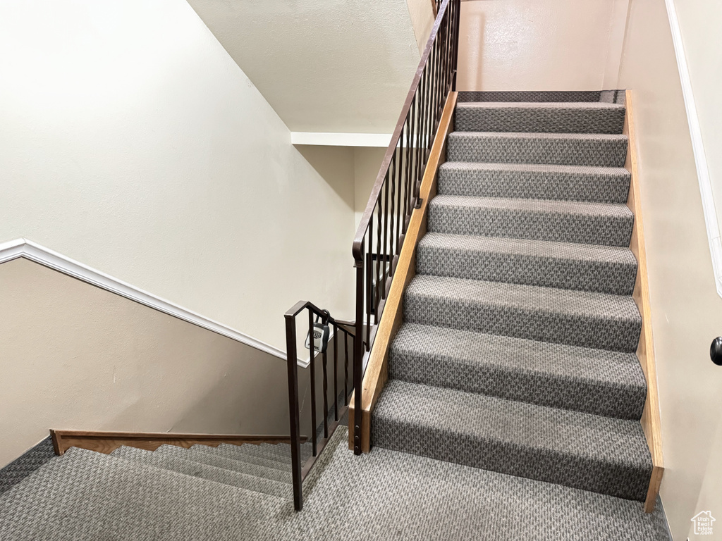 Stairs with carpet floors
