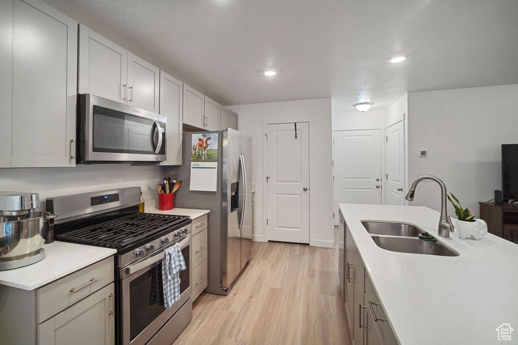 Kitchen with light hardwood / wood-style floors, appliances with stainless steel finishes, gray cabinetry, and sink