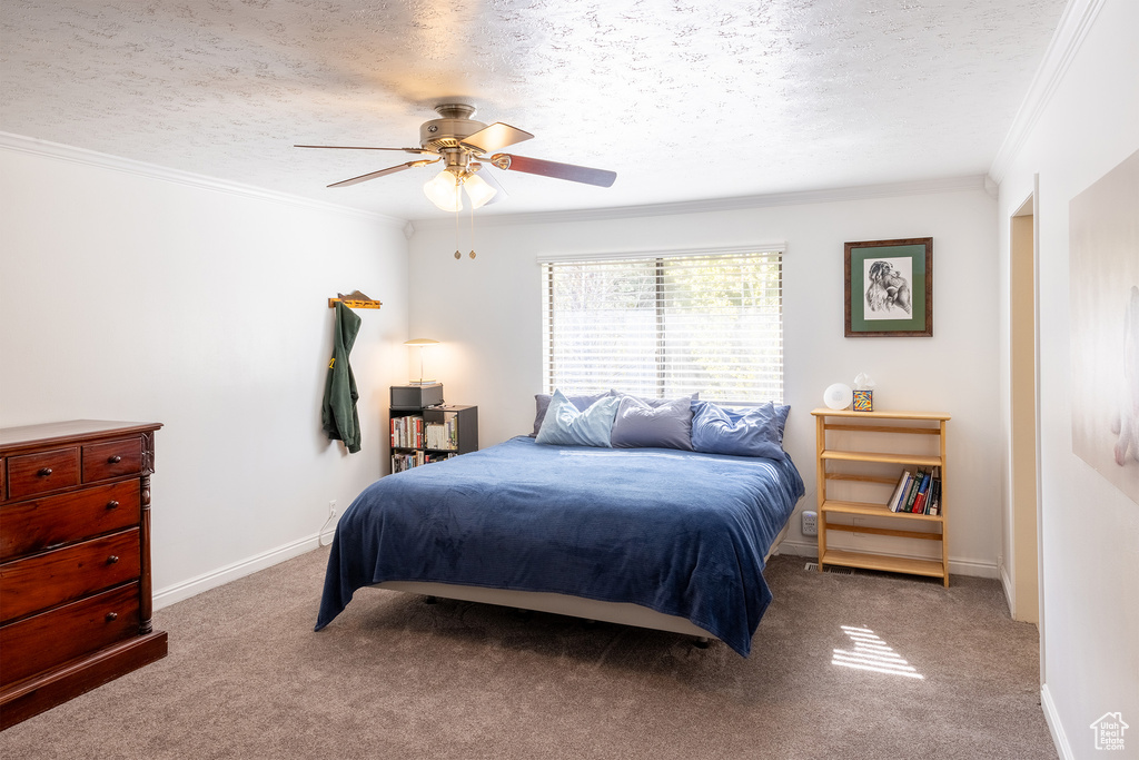 Carpeted bedroom featuring ceiling fan, crown molding, and a textured ceiling