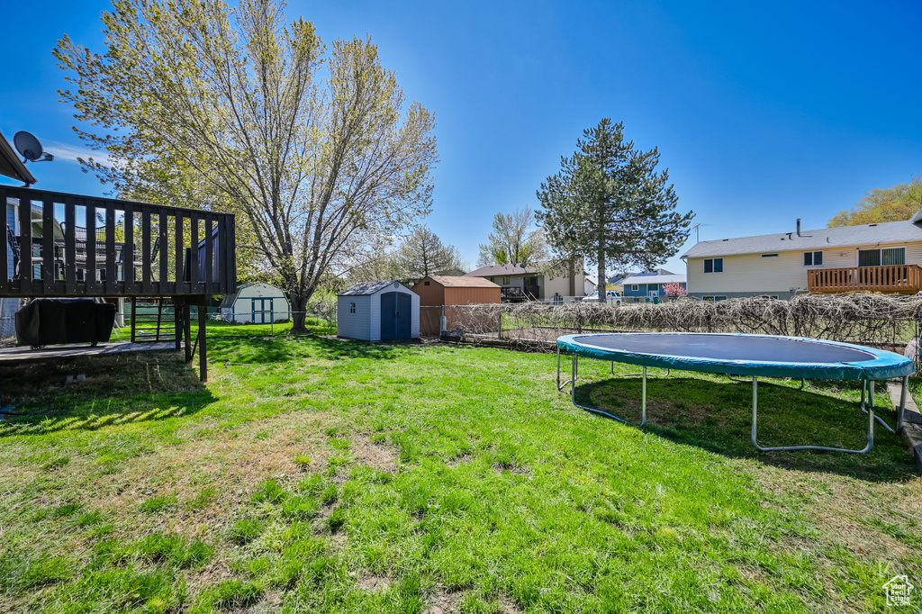 View of yard featuring a trampoline, a wooden deck, and a storage unit
