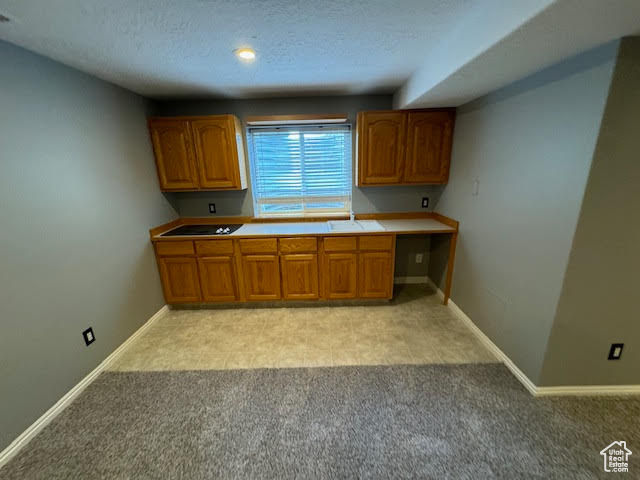 Kitchen with light colored carpet and sink