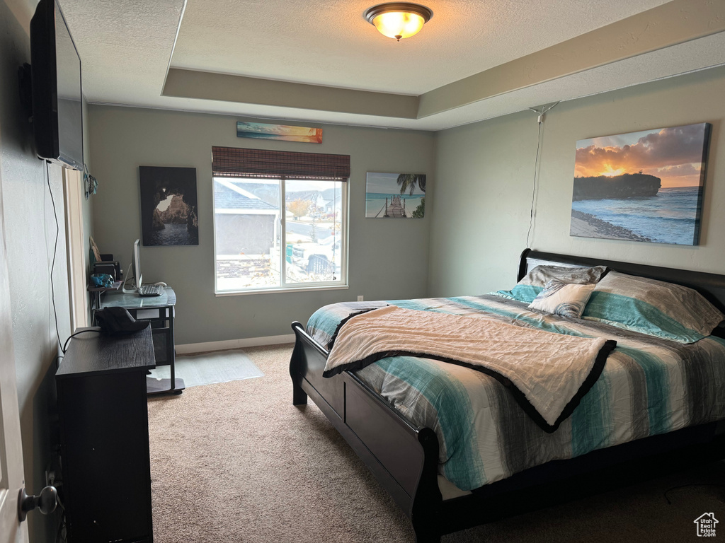 Bedroom featuring carpet flooring, a tray ceiling, and a textured ceiling