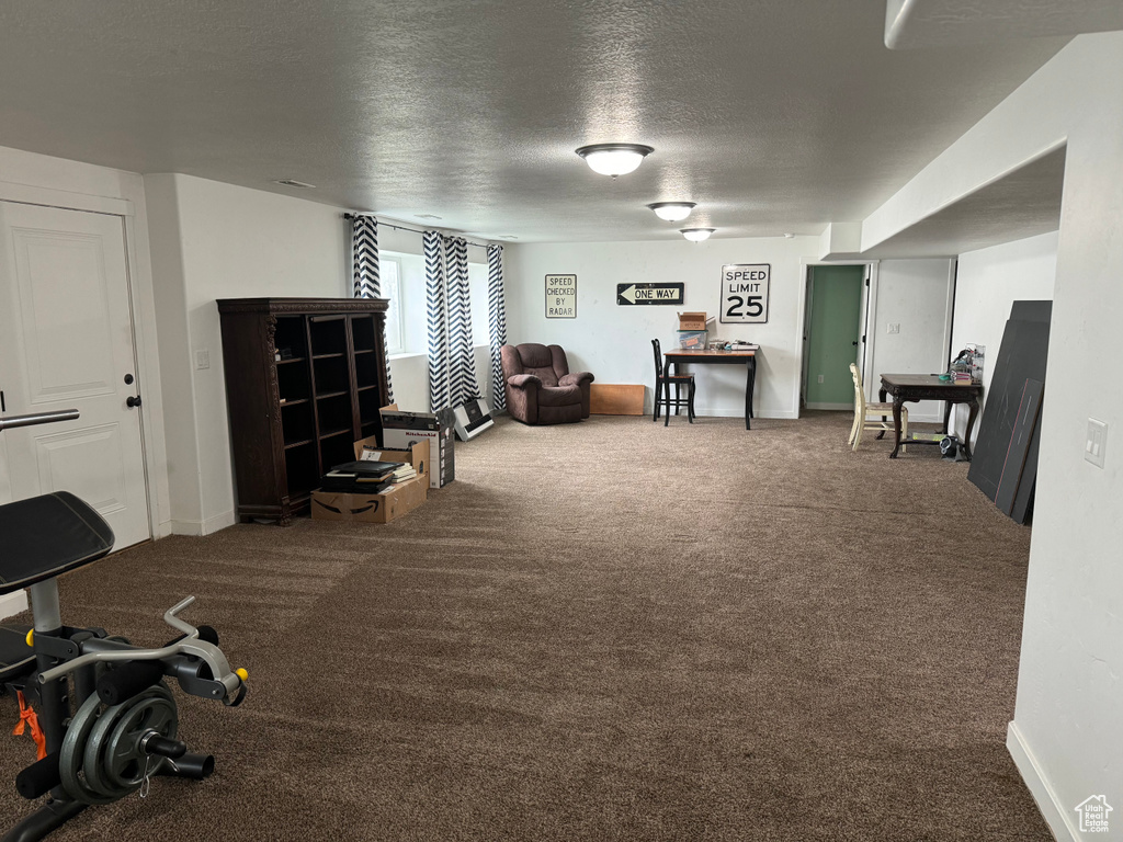Sitting room with a textured ceiling and carpet floors