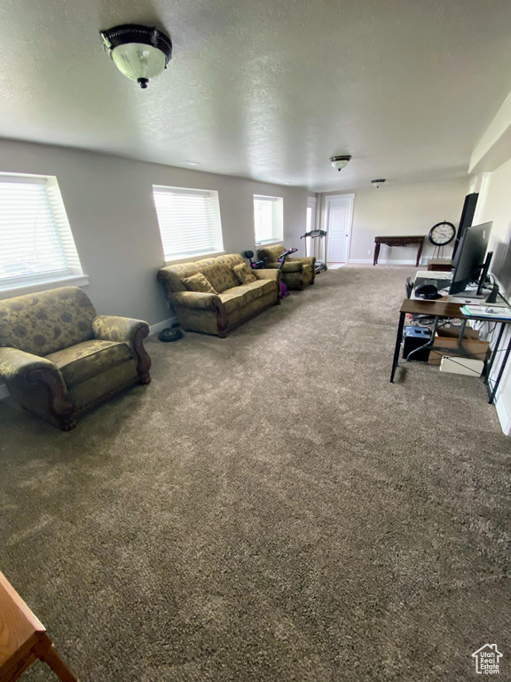 Living room with a textured ceiling and carpet flooring