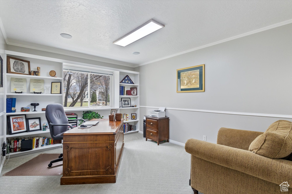 Office space featuring ornamental molding, light carpet, and a textured ceiling