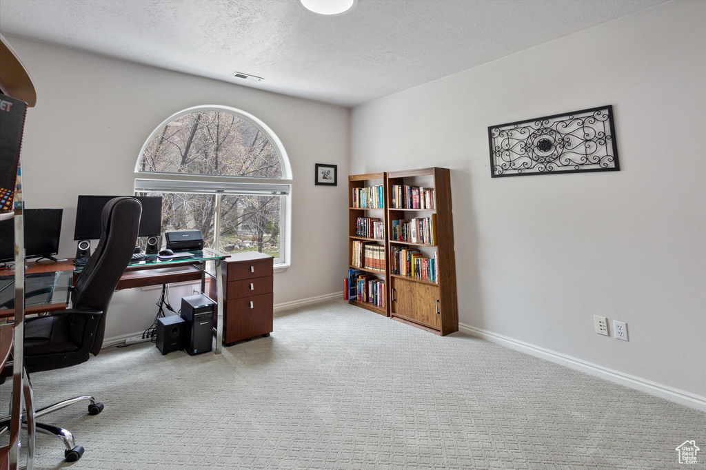 Home office featuring light colored carpet and a textured ceiling