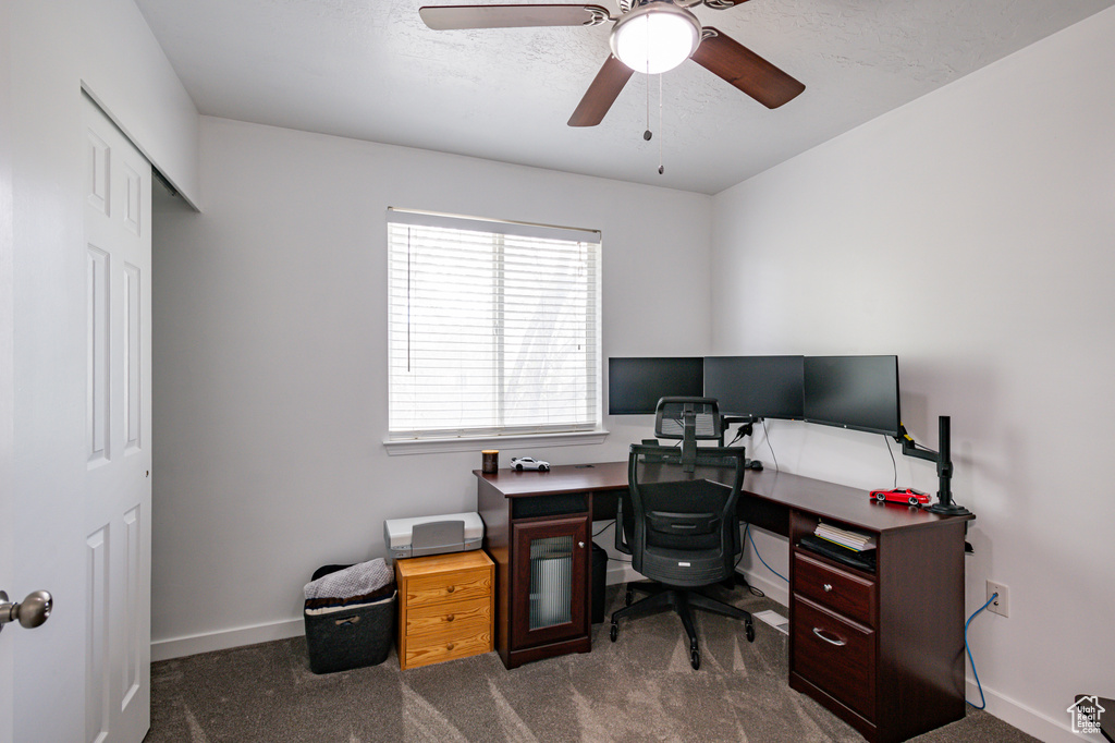 Office featuring carpet floors and ceiling fan