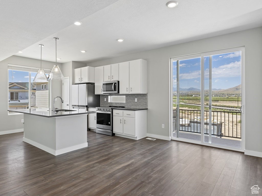 Kitchen featuring dark hardwood / wood-style floors, stainless steel appliances, and a center island with sink
