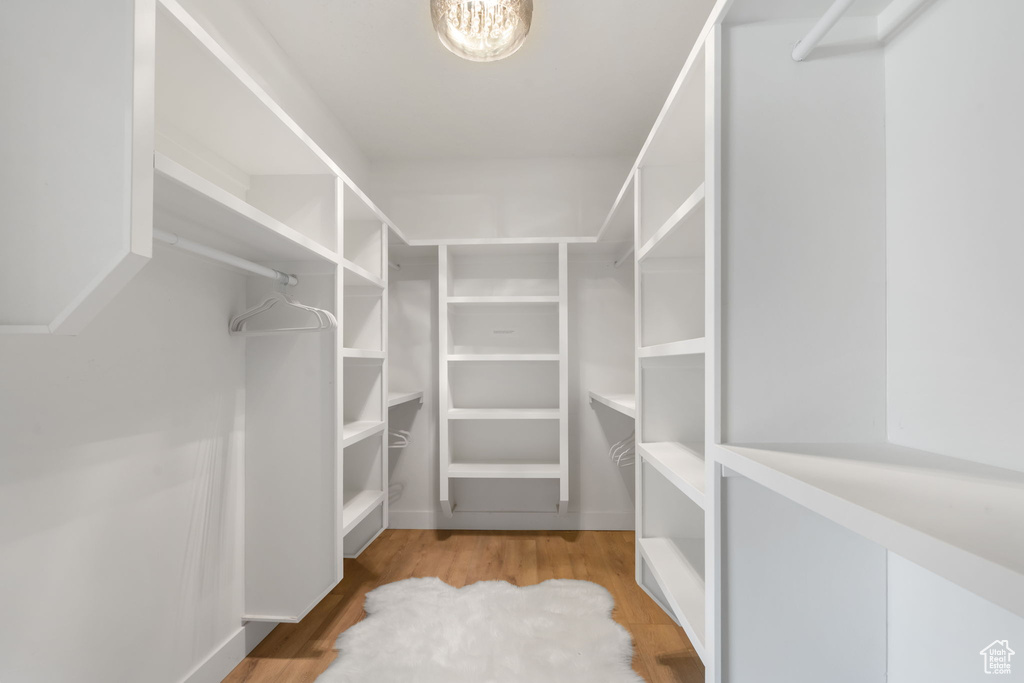 Spacious closet with light wood-type flooring
