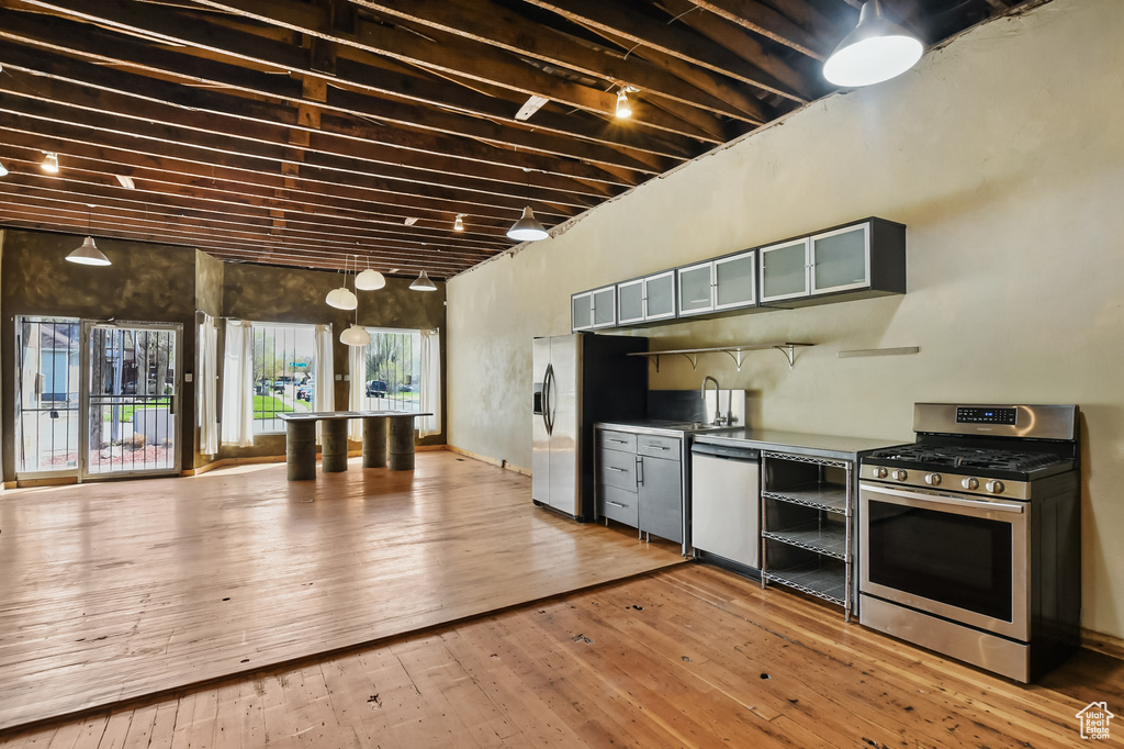 Kitchen with wood-type flooring and stainless steel appliances