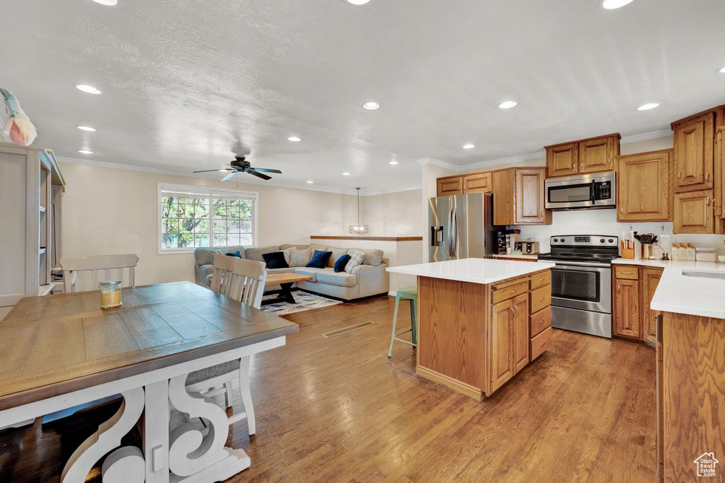 Kitchen featuring appliances with stainless steel finishes, light hardwood / wood-style flooring, a kitchen island, and ceiling fan