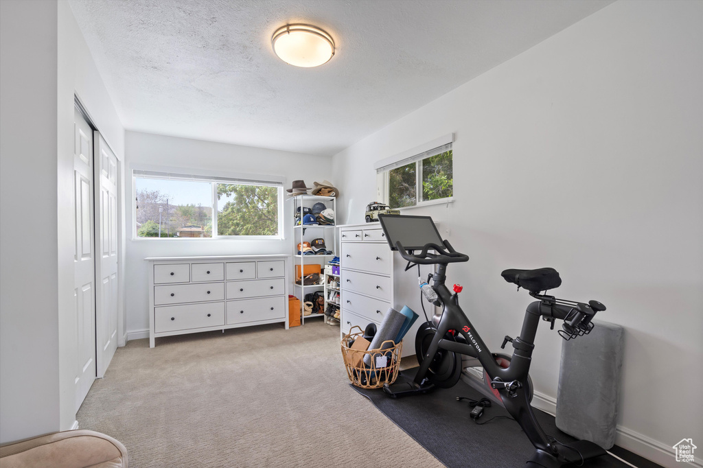 Workout room featuring a wealth of natural light and light carpet