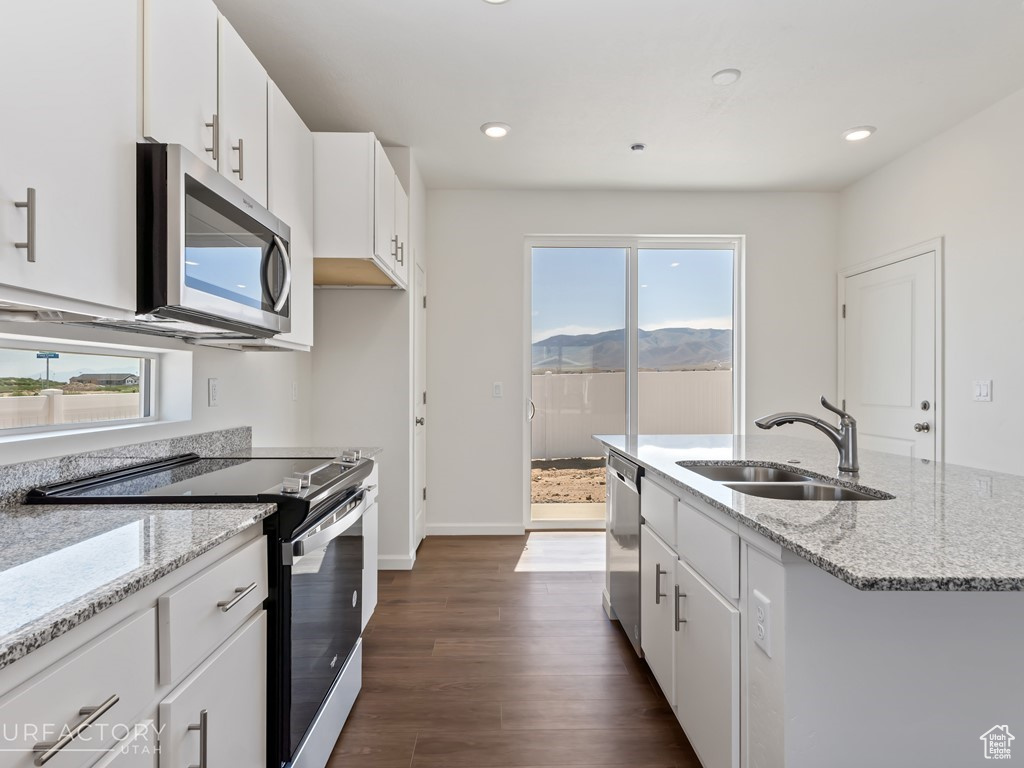 Kitchen with a wealth of natural light, stainless steel appliances, dark hardwood / wood-style floors, and sink