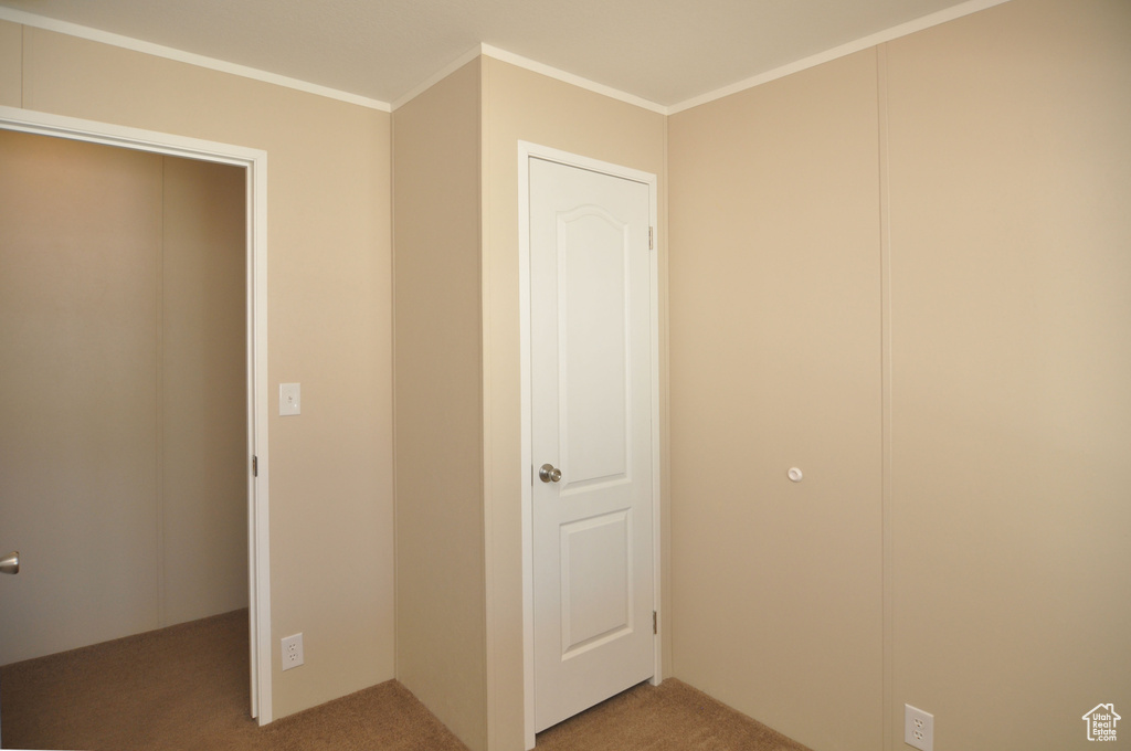 Unfurnished bedroom featuring carpet flooring and crown molding