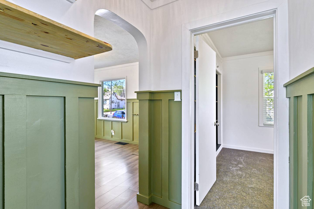 Hallway with a wealth of natural light, crown molding, and carpet floors