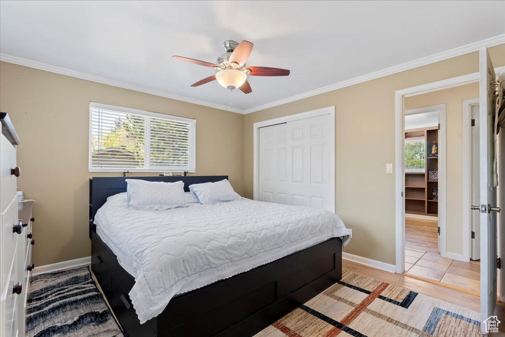 Bedroom with crown molding, light hardwood / wood-style floors, ceiling fan, and a closet