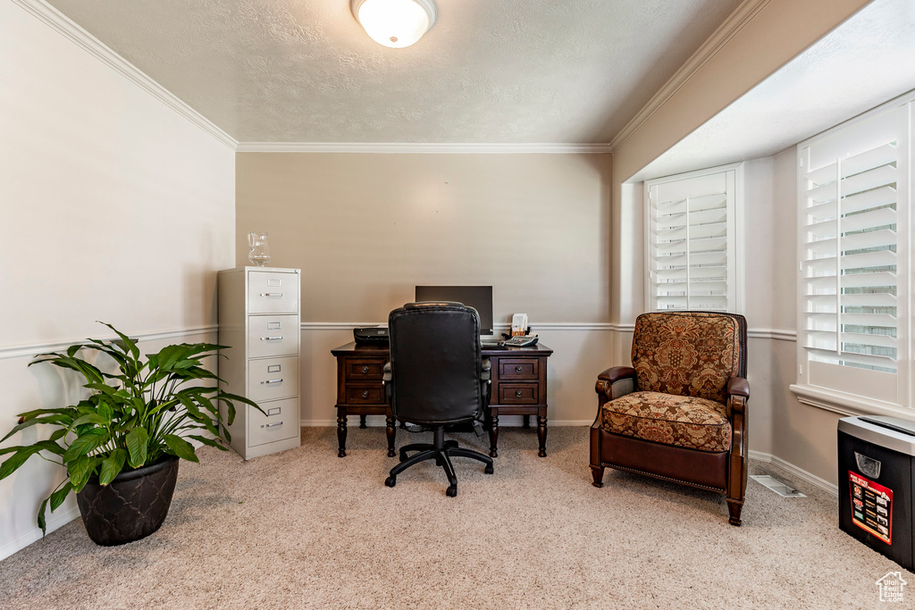 Carpeted office featuring crown molding and a textured ceiling