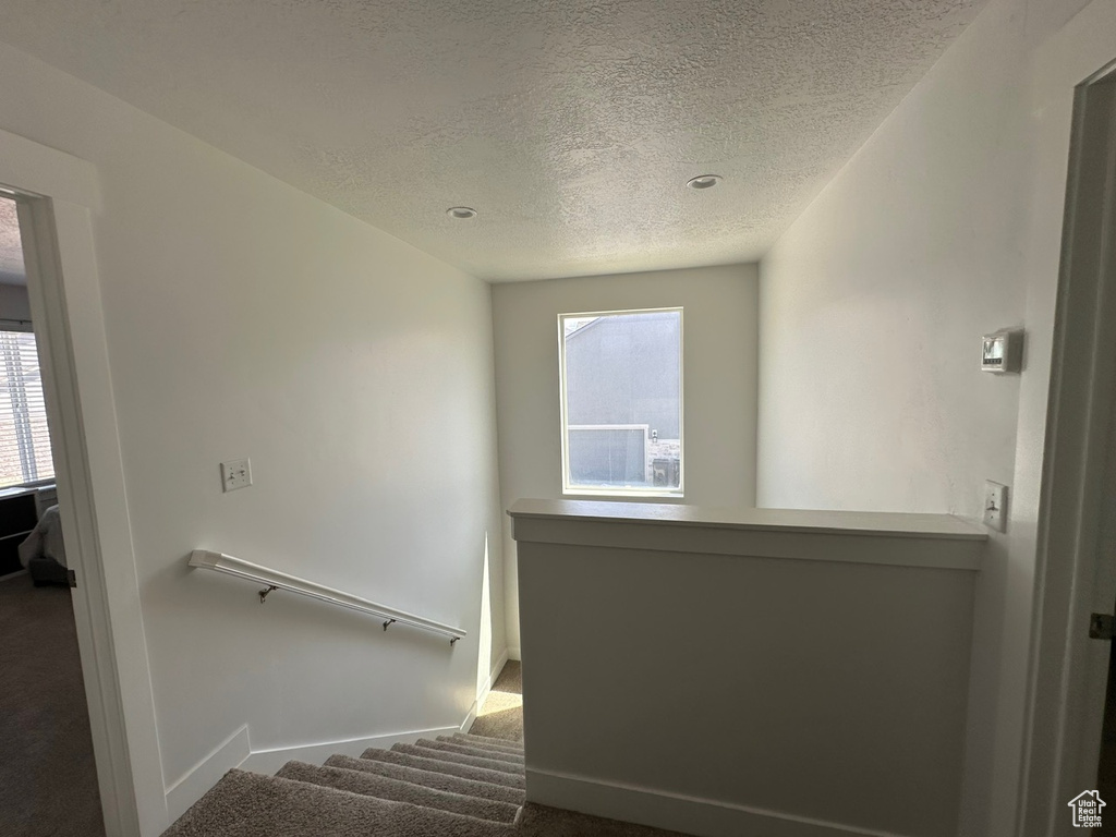 Stairway with plenty of natural light, carpet, and a textured ceiling