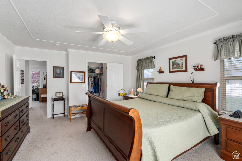 Carpeted bedroom with a closet, ceiling fan, crown molding, and a walk in closet