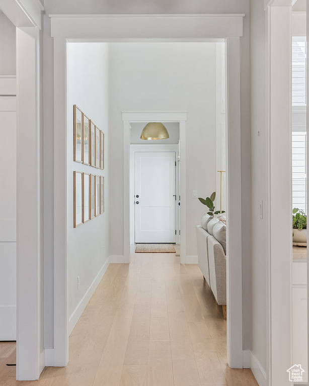 Hallway featuring plenty of natural light and light hardwood / wood-style floors