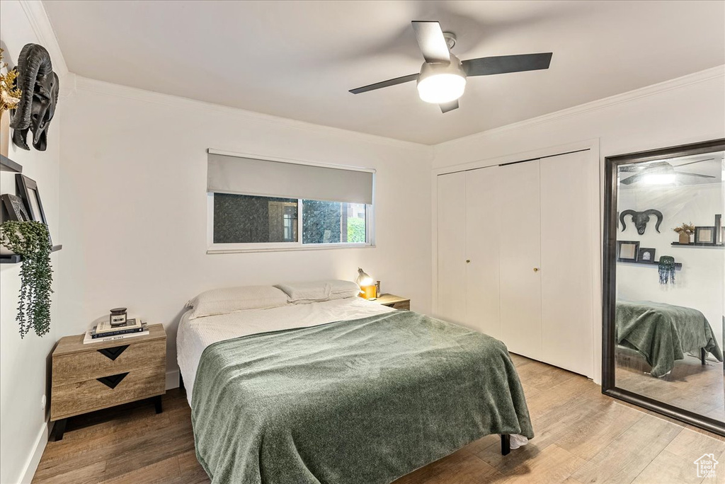 Bedroom featuring crown molding, a closet, ceiling fan, and hardwood / wood-style floors