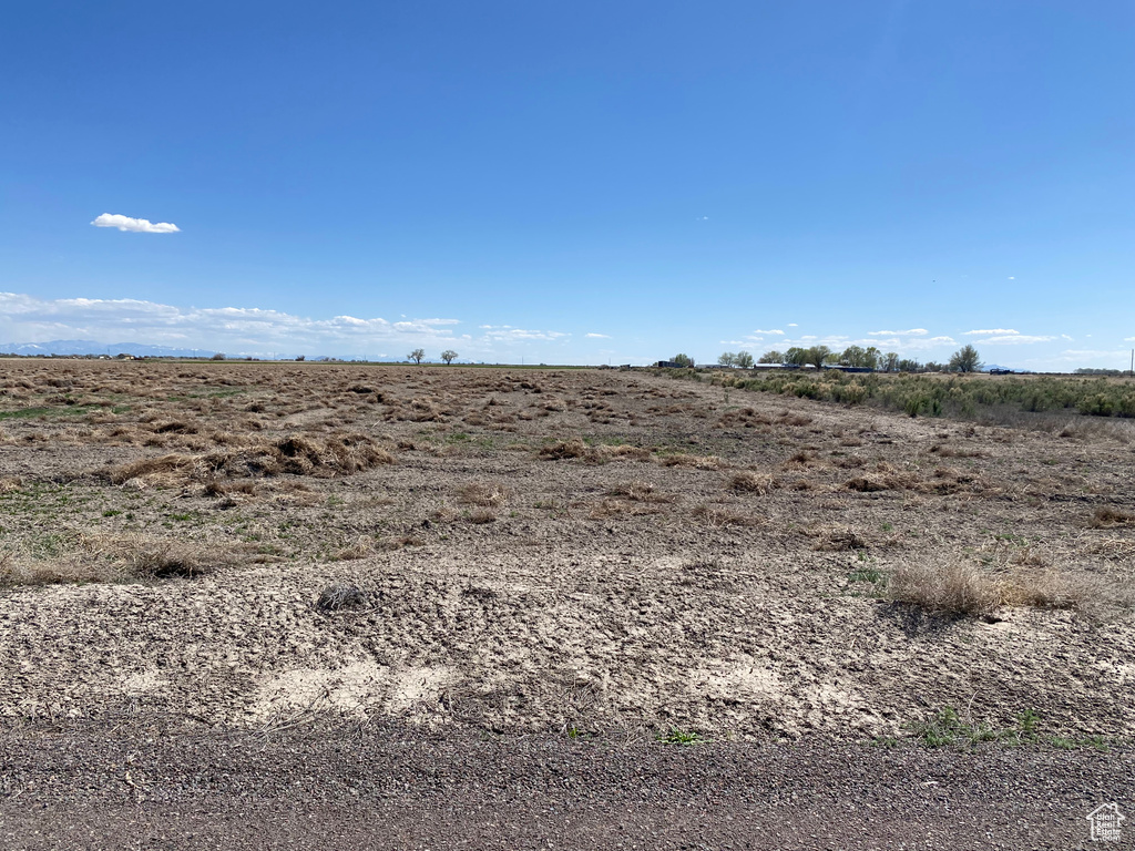 View of local wilderness with a rural view