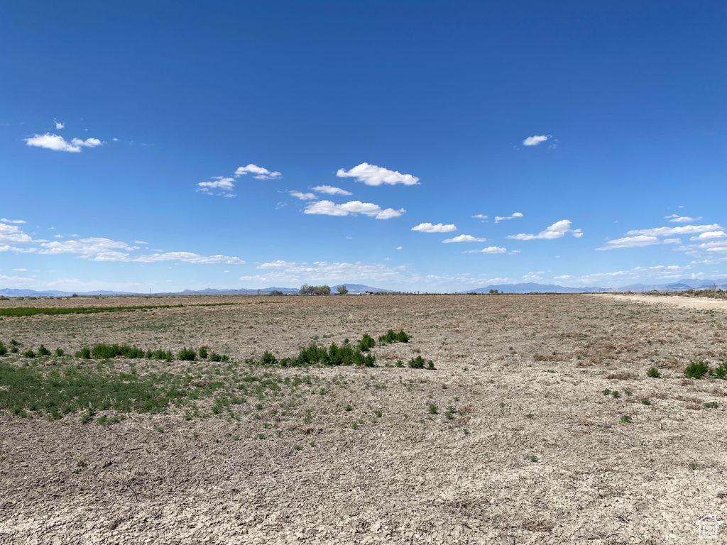 View of local wilderness featuring a rural view