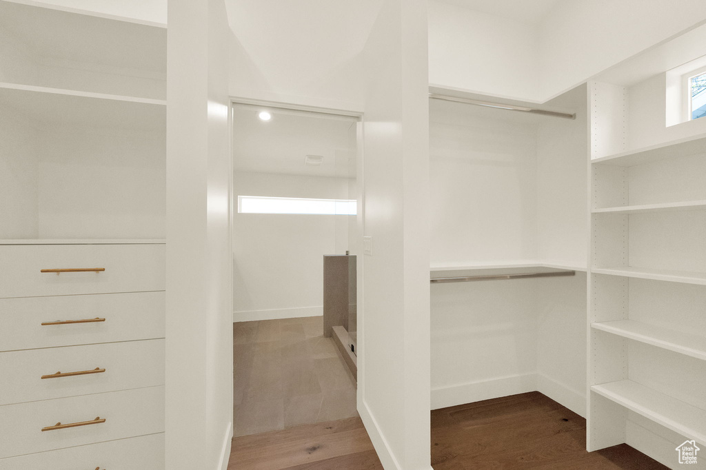 Walk in closet featuring hardwood / wood-style flooring