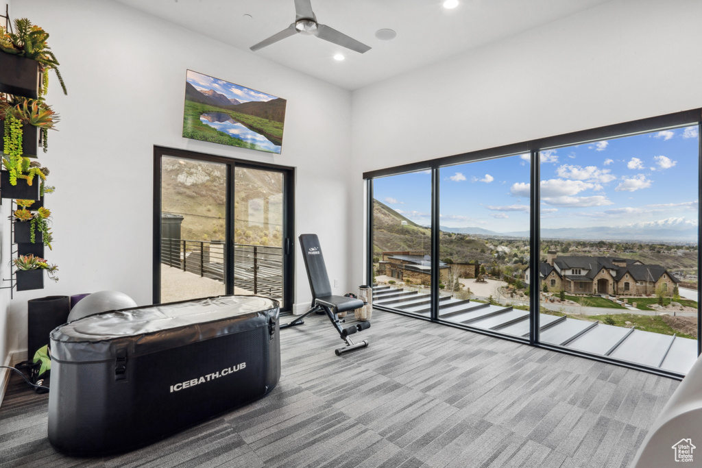 Workout room featuring carpet flooring and ceiling fan