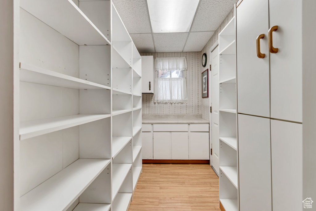Walk in closet with a drop ceiling and light hardwood / wood-style floors