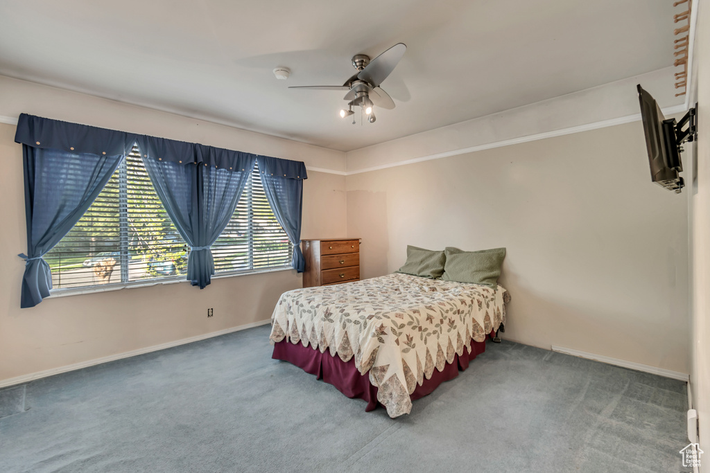 Bedroom with ceiling fan, dark carpet, and multiple windows
