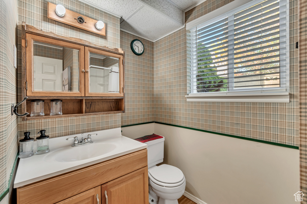 Bathroom featuring oversized vanity, toilet, and a paneled ceiling