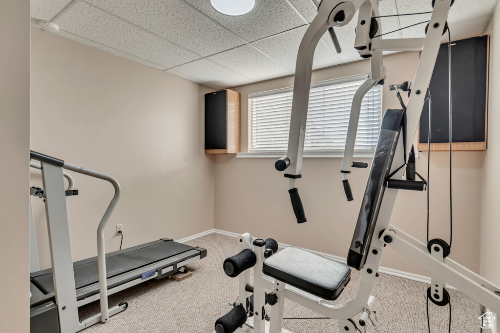Exercise area featuring a paneled ceiling and carpet