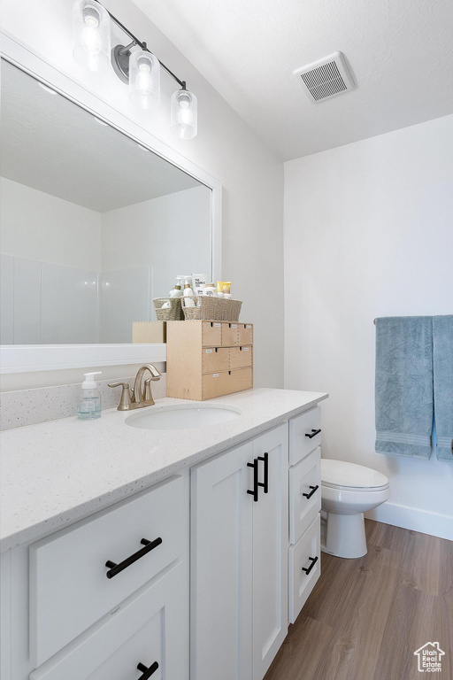 Bathroom featuring hardwood / wood-style floors, toilet, and vanity with extensive cabinet space