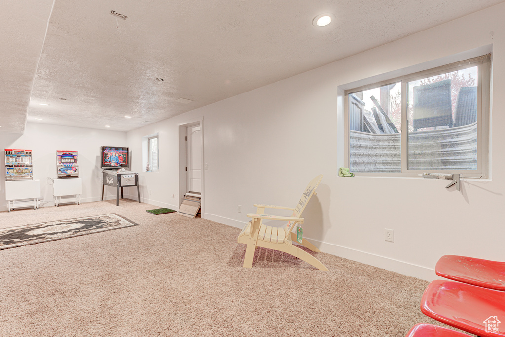 Game room with carpet, a wealth of natural light, and a textured ceiling