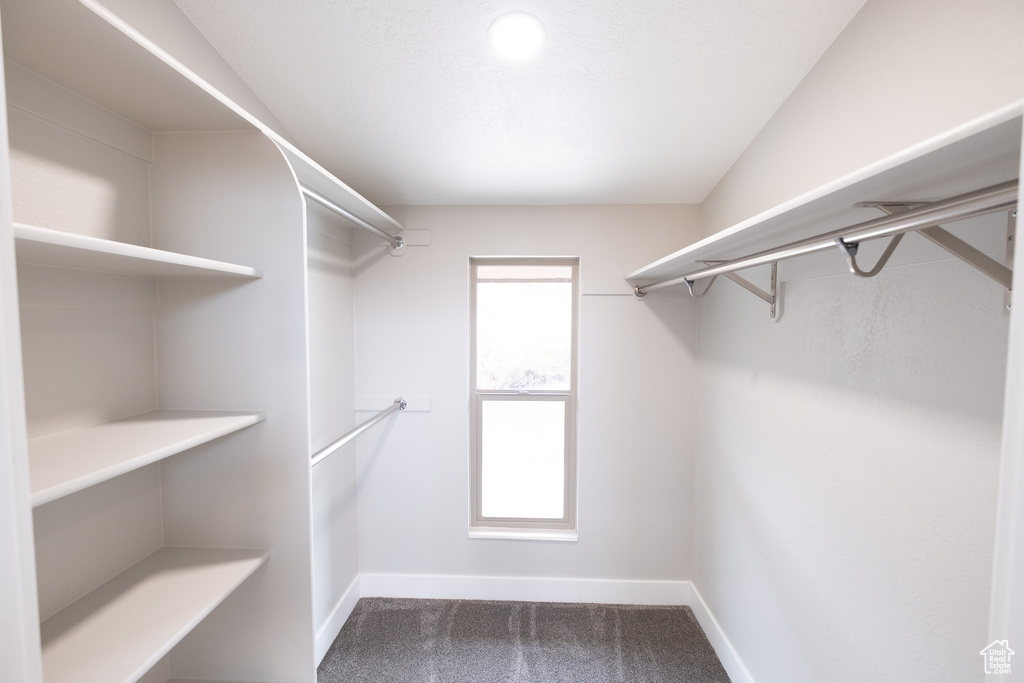 Walk in closet featuring carpet floors and lofted ceiling