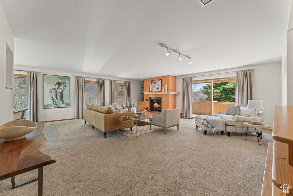 Living room featuring rail lighting and carpet flooring