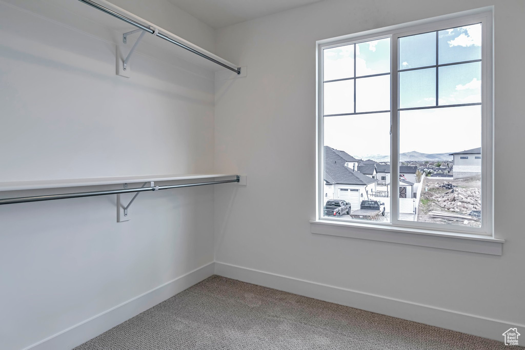 Spacious closet featuring carpet flooring