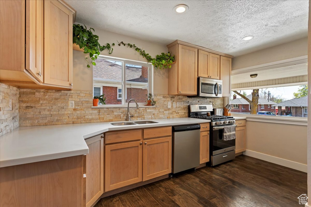 Kitchen with backsplash, stainless steel appliances, a textured ceiling, sink, and dark hardwood / wood-style flooring