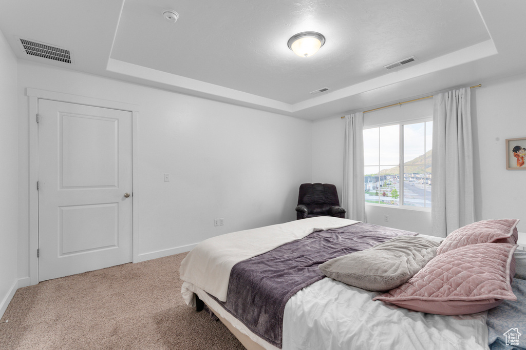 Carpeted bedroom featuring a raised ceiling
