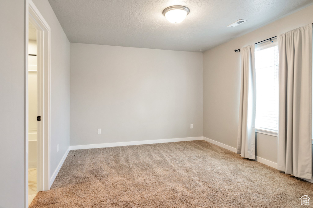 Spare room featuring a healthy amount of sunlight, a textured ceiling, and light carpet
