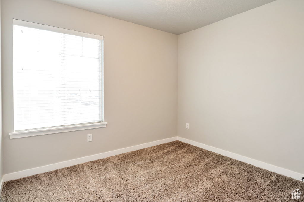 Unfurnished room with a wealth of natural light and carpet flooring